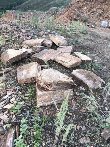 Плитняк кора дерева 50-100мм для пошаговых дорожек купить в Сысерти